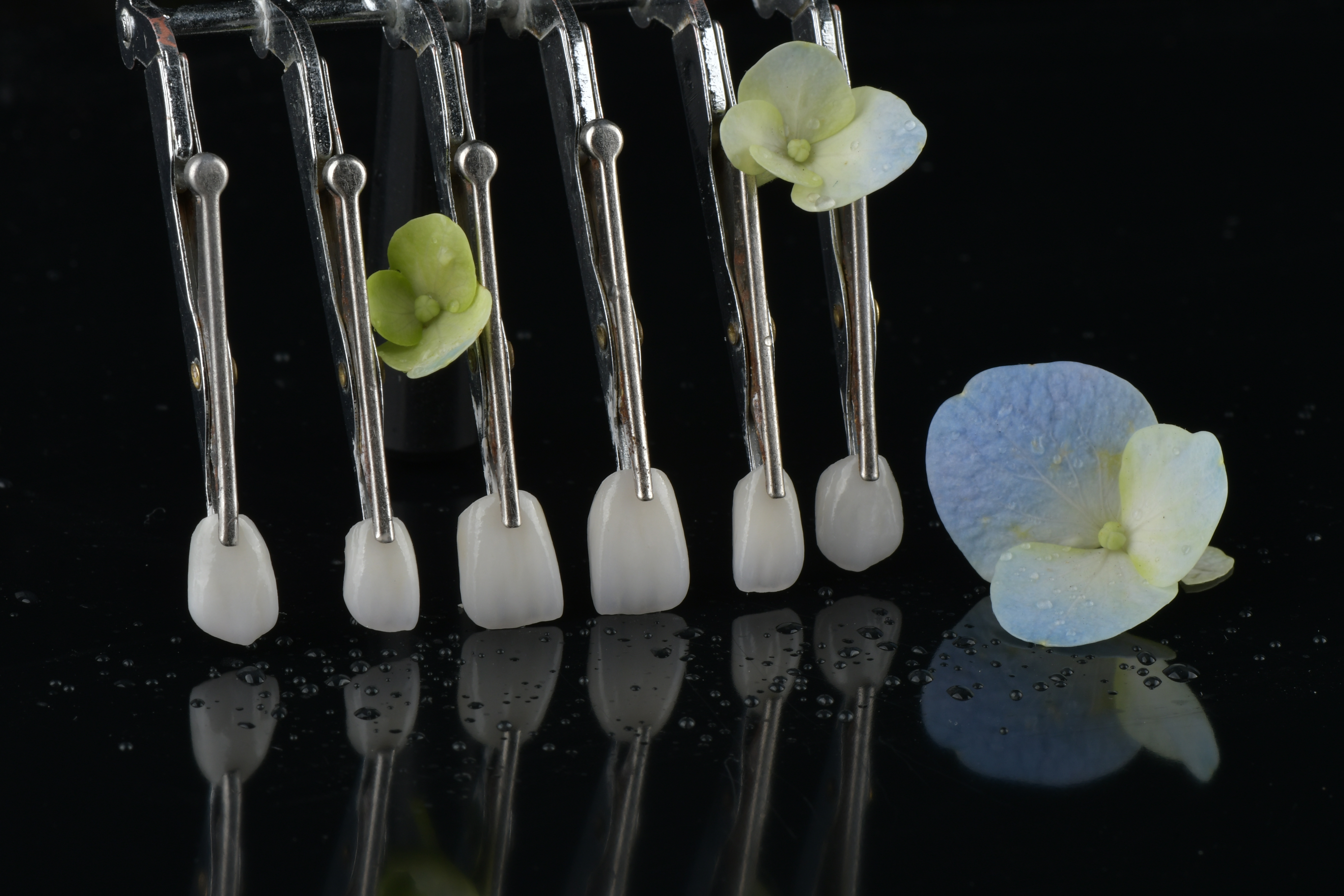 नवीनतम कंपनी ब्लॉग के बारे में क्या निश्चित पुनर्स्थापनों के लिए अनुवर्ती नियुक्तियों की आवश्यकता होती है?